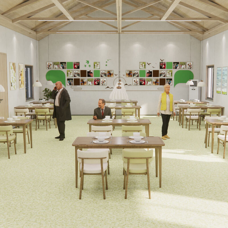 Устойчивые к ударам однородные полы с устойчивой к царапинам поверхностью для помещений пациентов домов престарелых